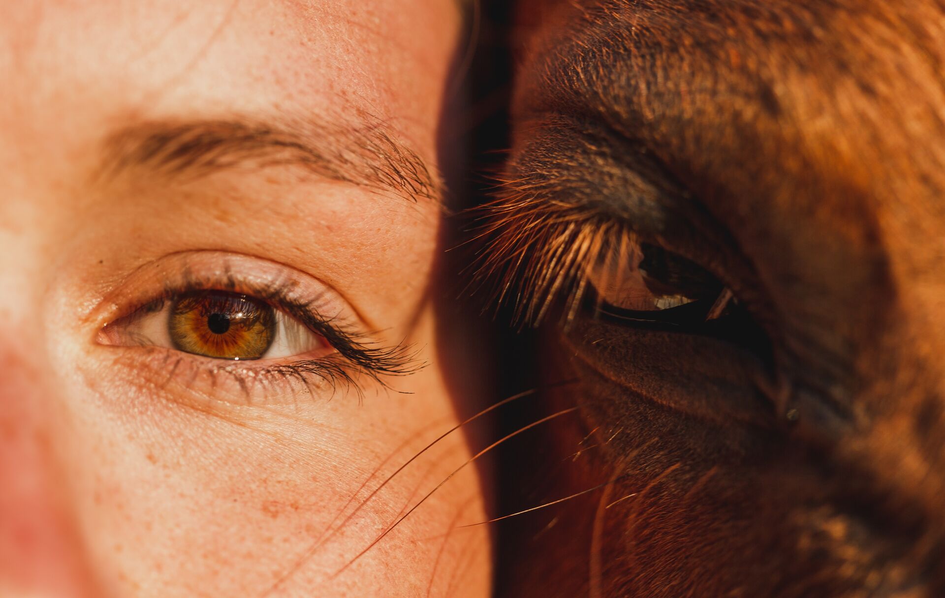 Pipeline Hero Background